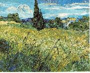 Vincent Van Gogh Green Wheat Field with Cypress Sweden oil painting artist